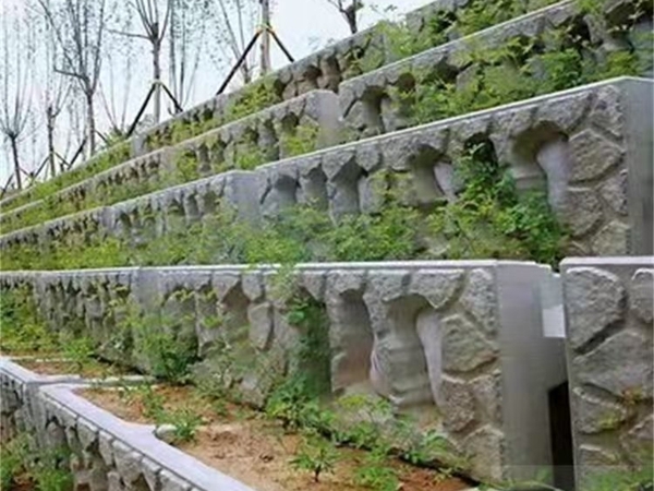 阶梯式生态护坡框